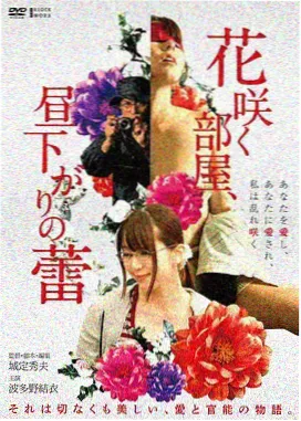 荒原来信 电影免费观看正版